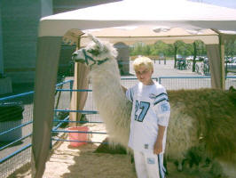Josh Serson in Gananoque with a llama