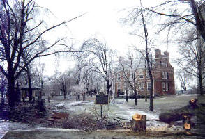 Ice Storm Town Hall