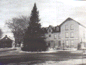 1958,  The old International Hotel with the Christmas tree in the centre of the square, a view never to be seen again.