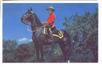 Canada's Finest_Royal Canadian Mounted Police